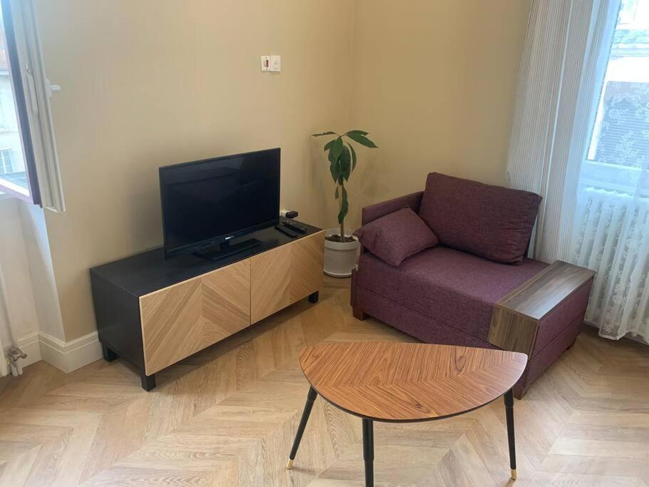 Appartement Centre Ville Historique - Le Modene Βιέν Εξωτερικό φωτογραφία